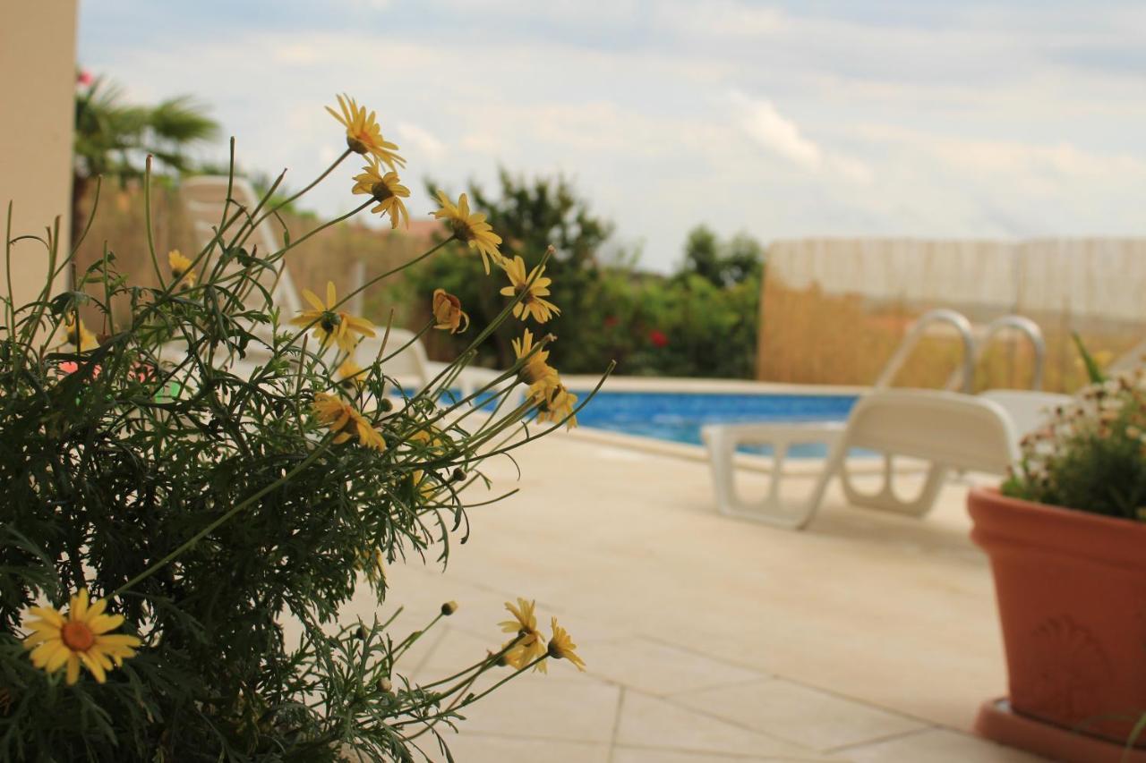 Apartman Robi Nova Vas  Екстер'єр фото